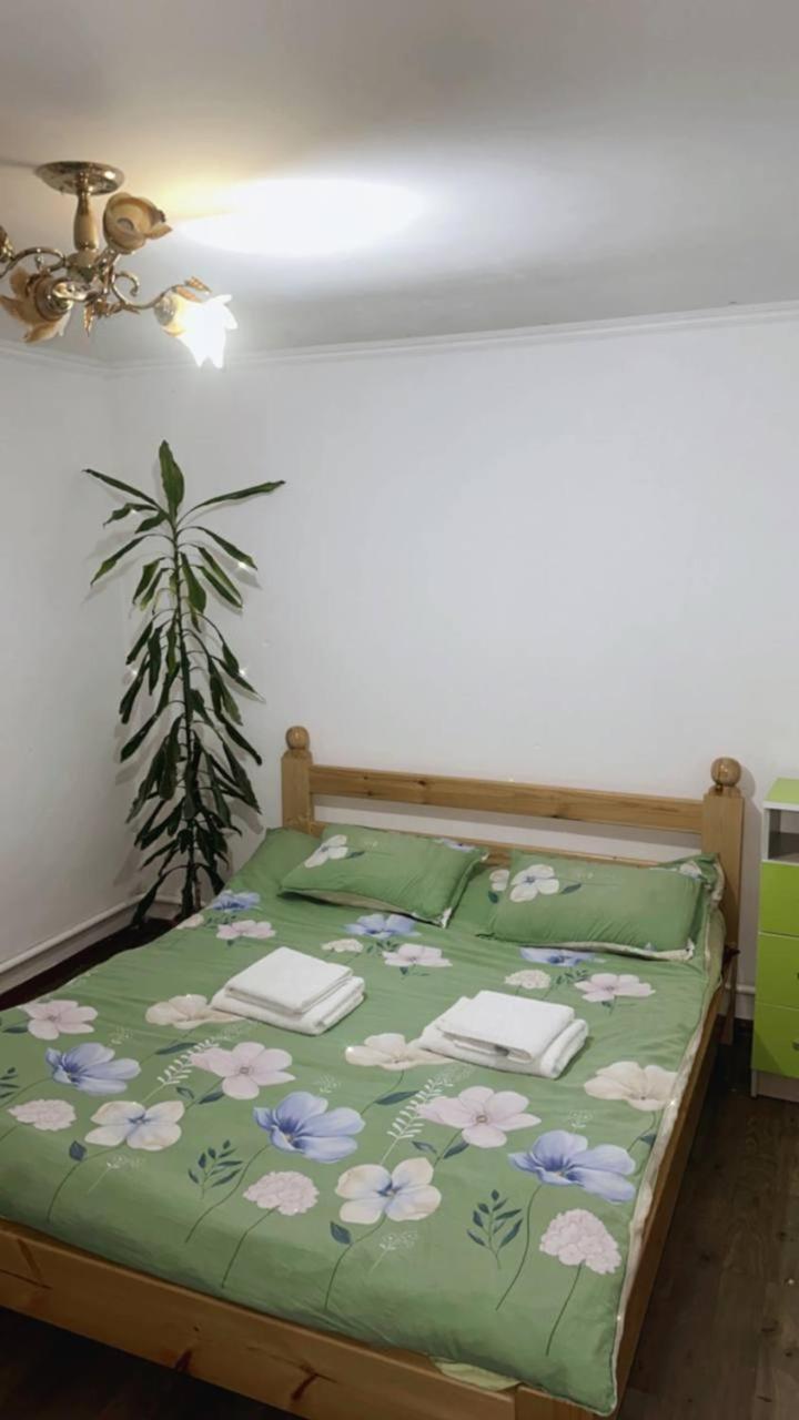 Rozalinda Guesthouse Naryn Extérieur photo