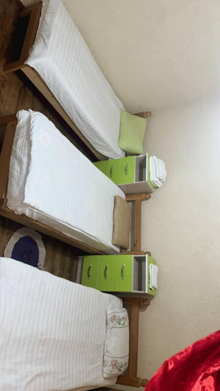Rozalinda Guesthouse Naryn Extérieur photo
